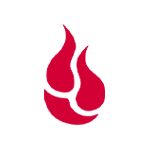 auto backup backblaze favicon